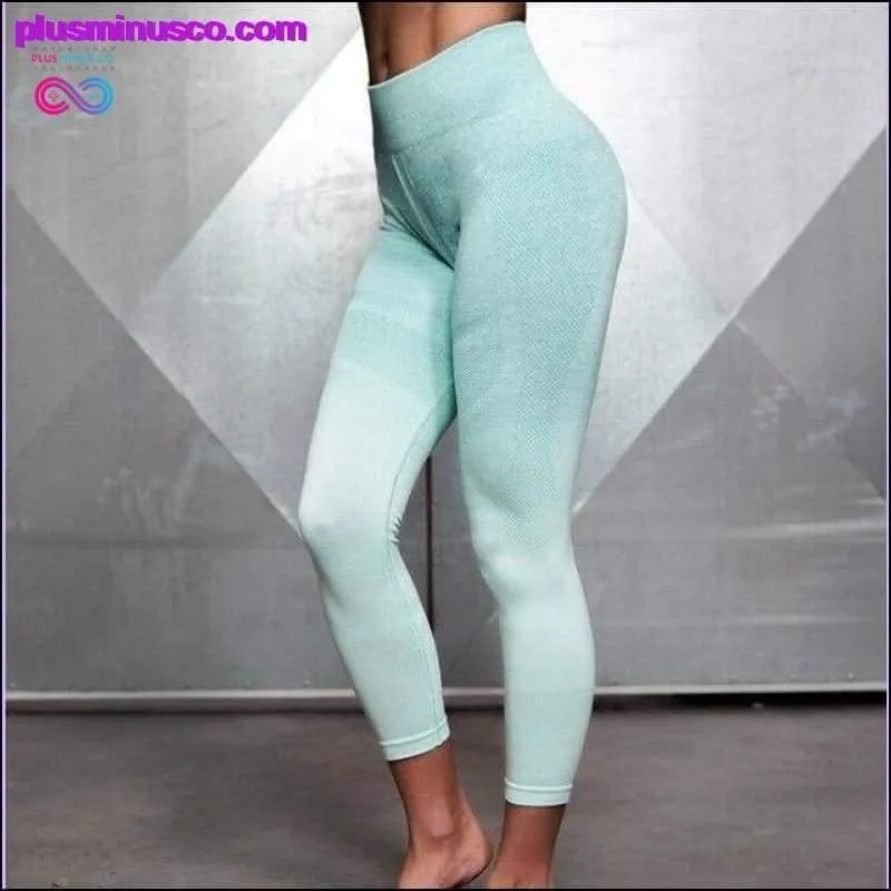 2PCS Gradient Ombre Seamless Yoga set Workout gym Tracksuit