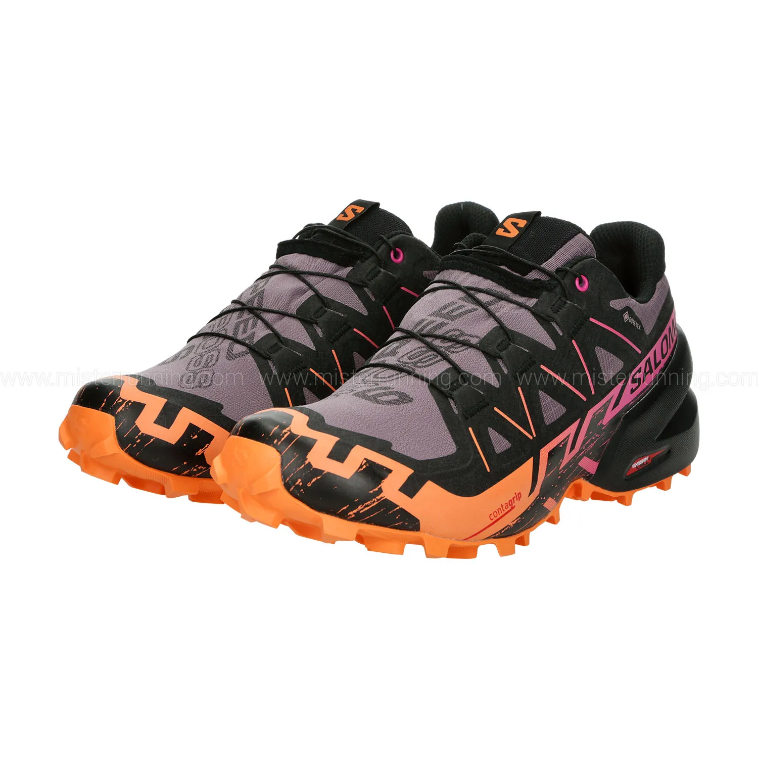 Salomon Speedcross 6 GTX  Moonscape/Black/Bird Of Paradise