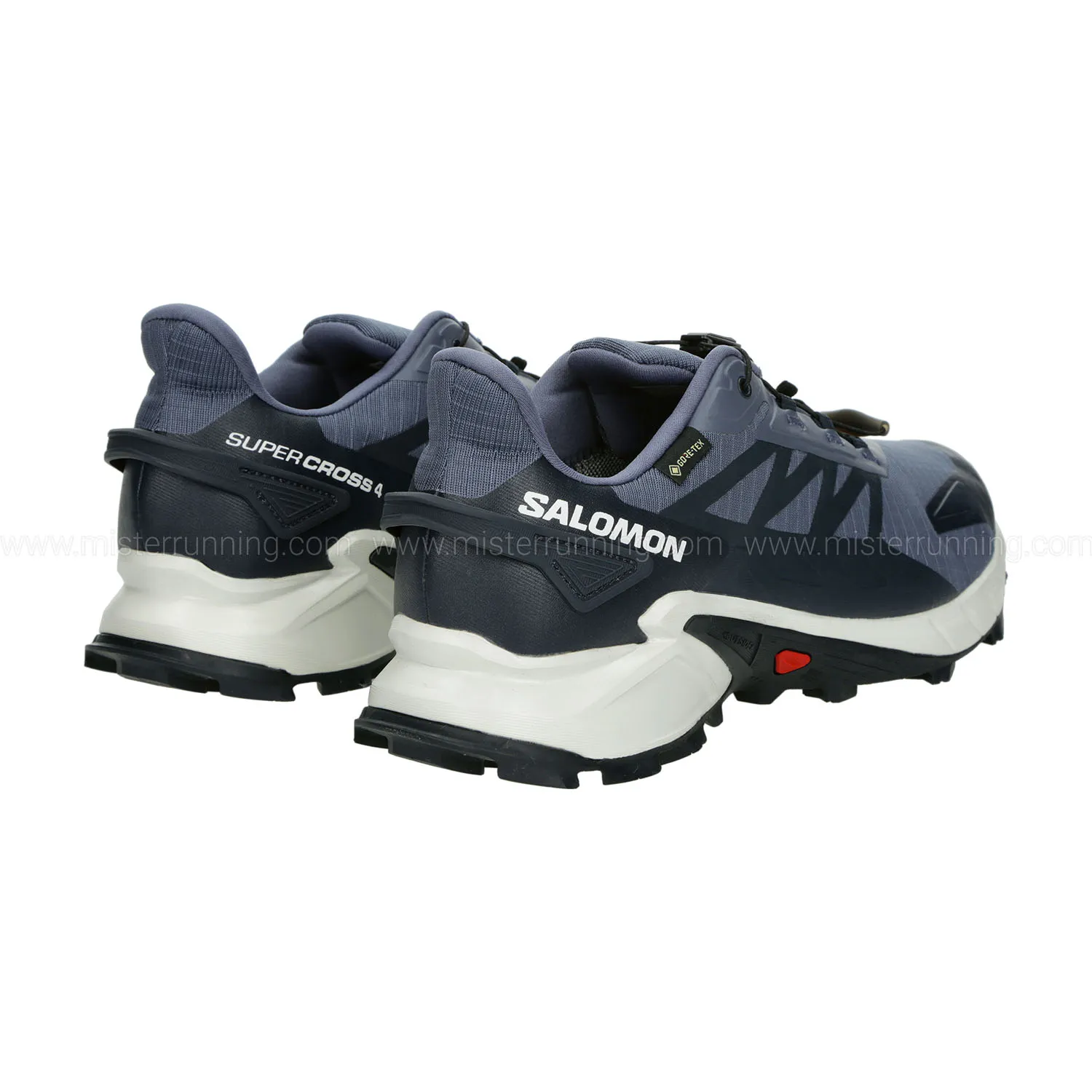 Salomon Supercross 4 GTX  Grisaille/White/Carbon